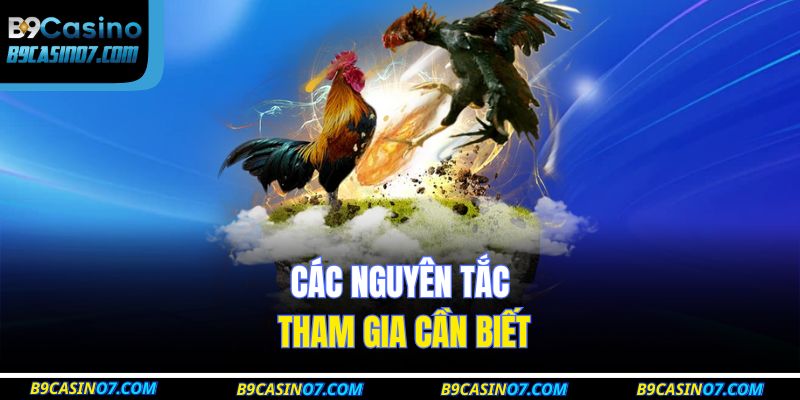 Các nguyên tắc tham gia cần biết