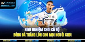 cá độ bóng đá