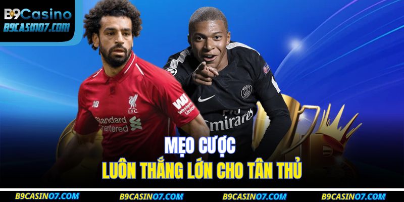 Mẹo cược luôn thắng lớn cho tân thủ