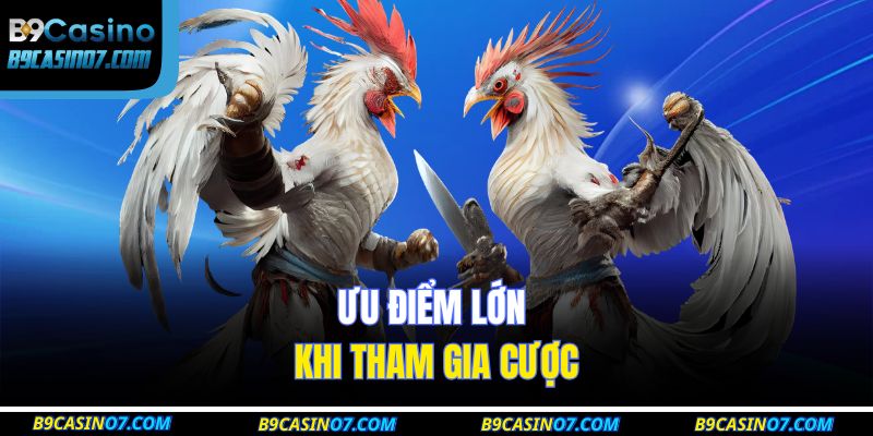 Ưu điểm lớn khi tham gia cược